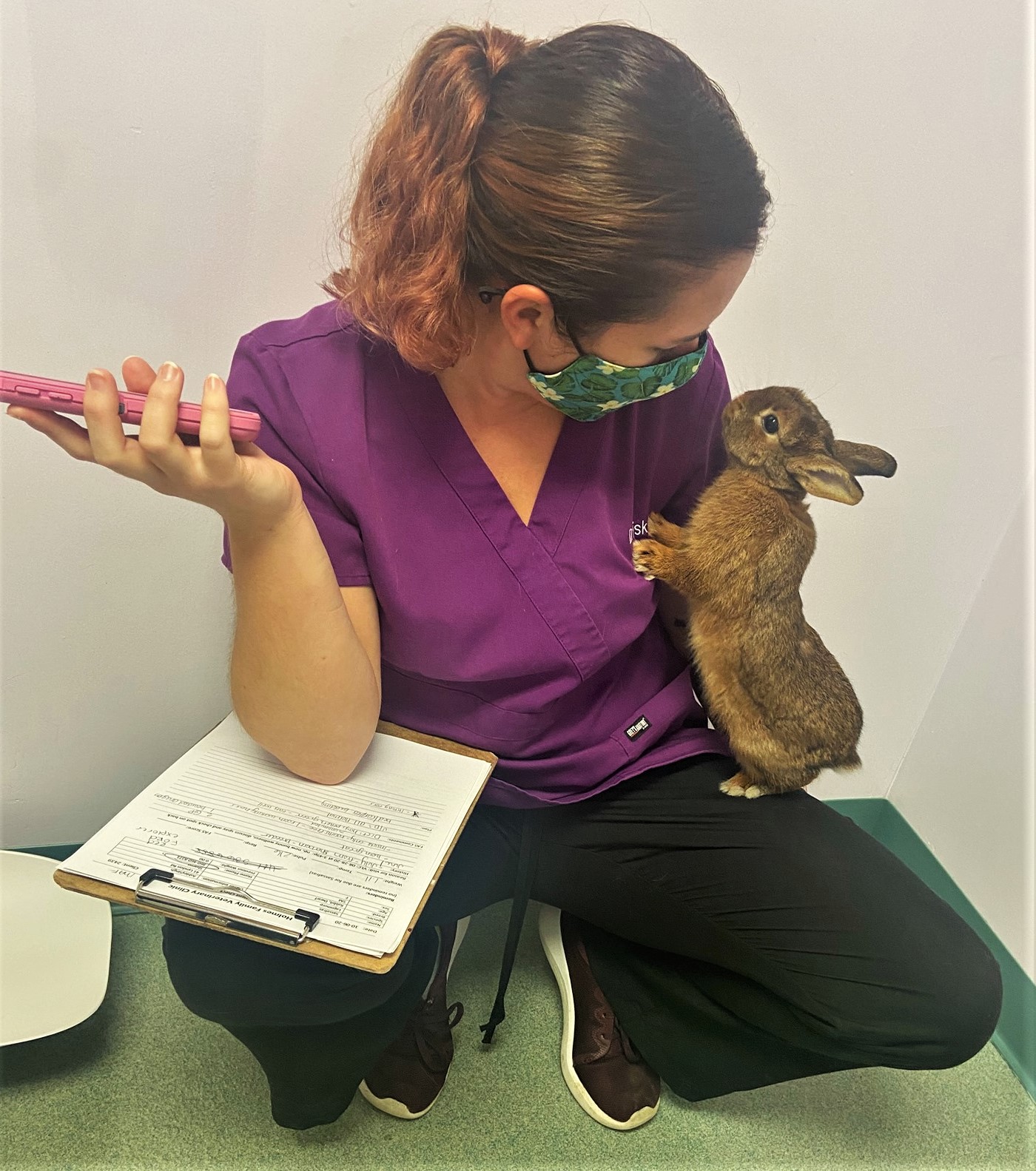 Holmes Family Veterinary Clinic Walpole, MA Home