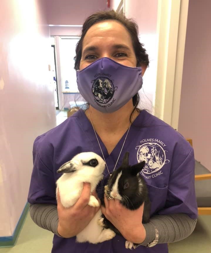 Holmes Family Veterinary Clinic Walpole, MA Home