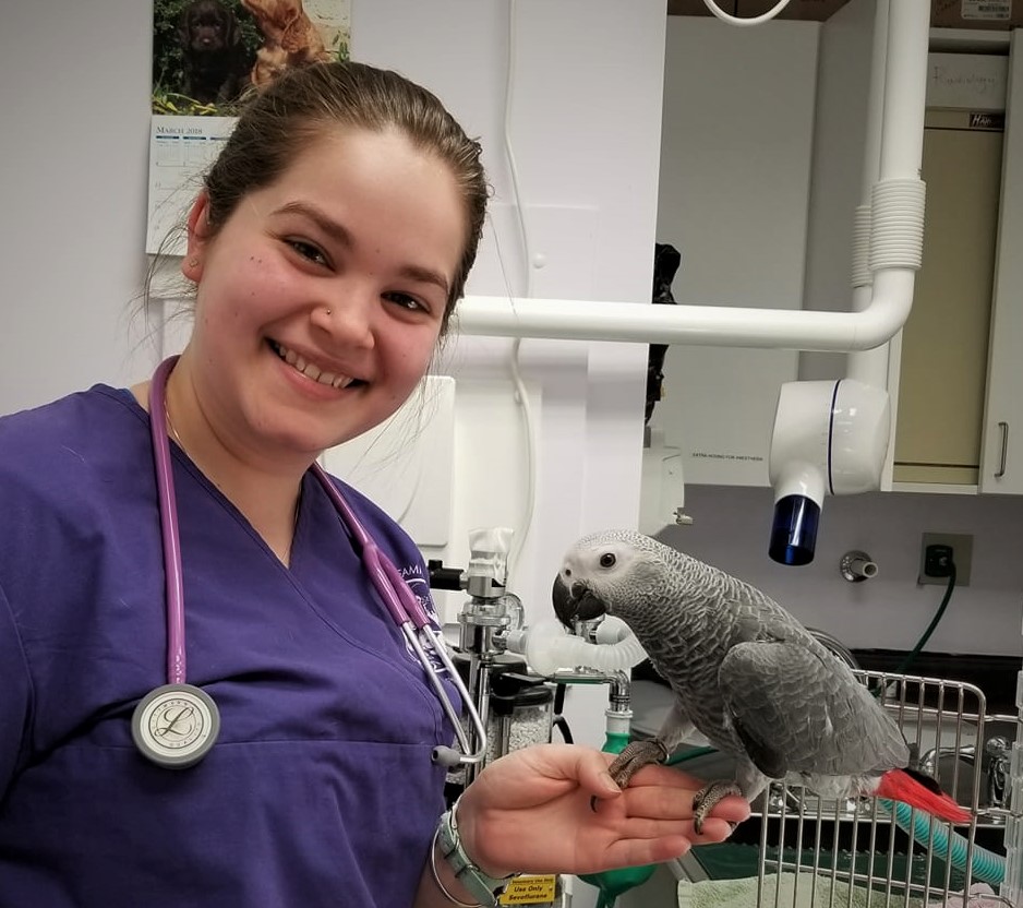 Holmes Family Veterinary Clinic Walpole, MA Home