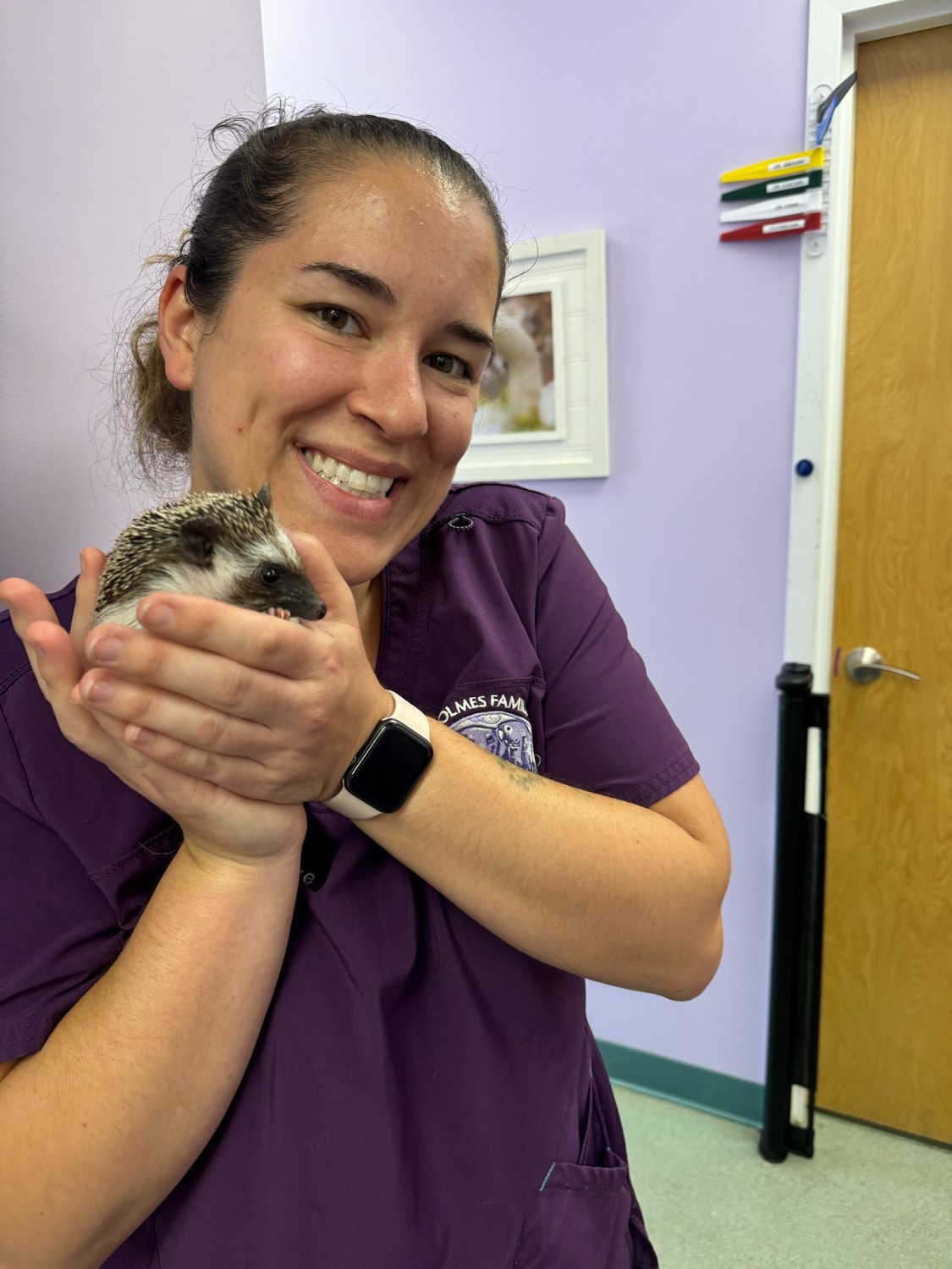 Photo of staff member with hedgehog